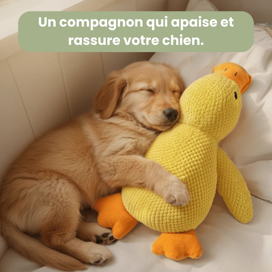 ZenDuck™ - Canard anti-stress