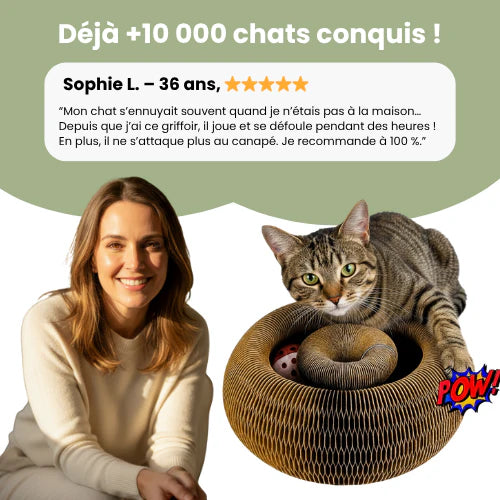 GRIFFOIR INTERACTIF POUR CHATS