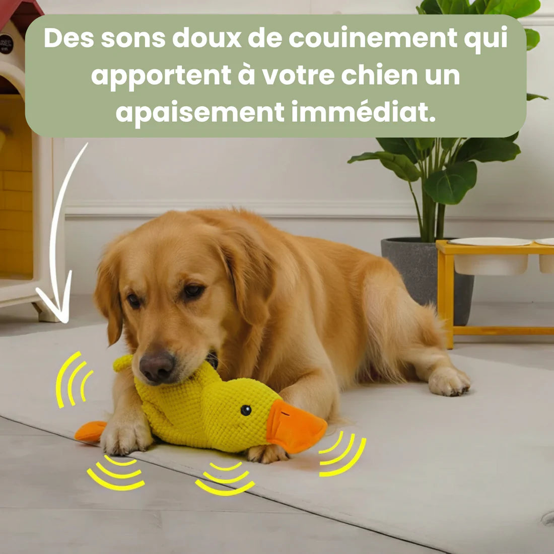 ZenDuck™ - Canard anti-stress