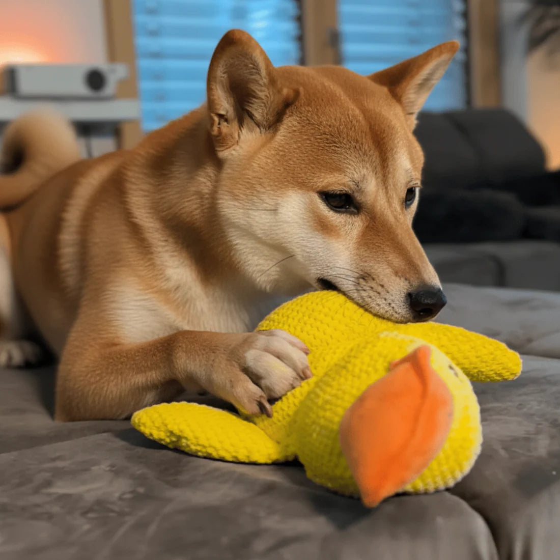 ZenDuck™ - Canard anti-stress