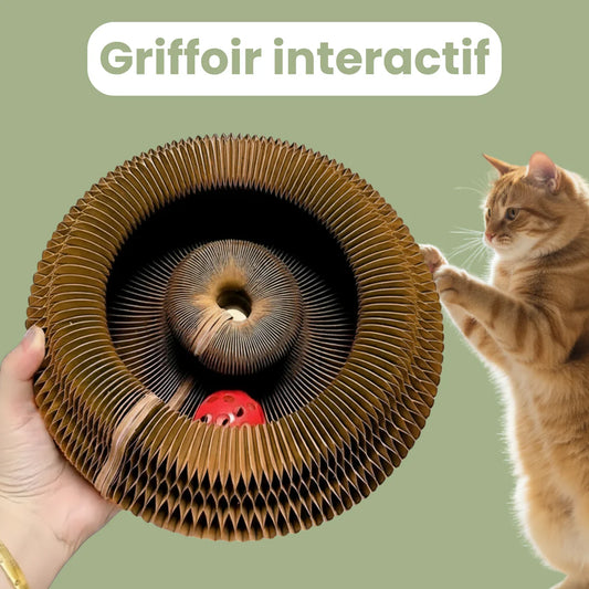 GRIFFOIR INTERACTIF POUR CHATS